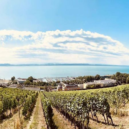 Charmant Appartement De Vacances Alta Ripa Hauterive  エクステリア 写真