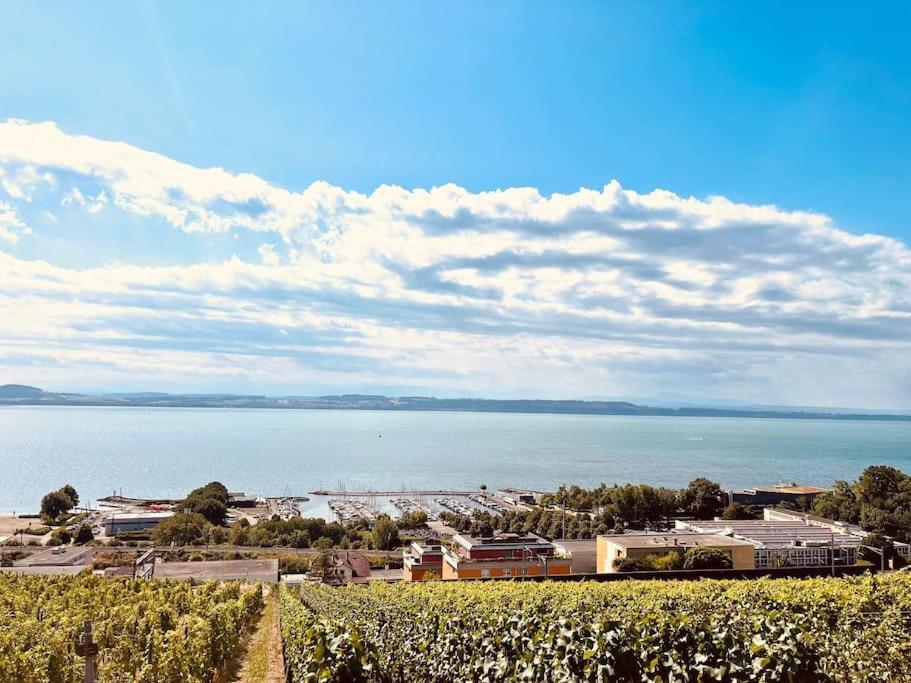 Charmant Appartement De Vacances Alta Ripa Hauterive  エクステリア 写真