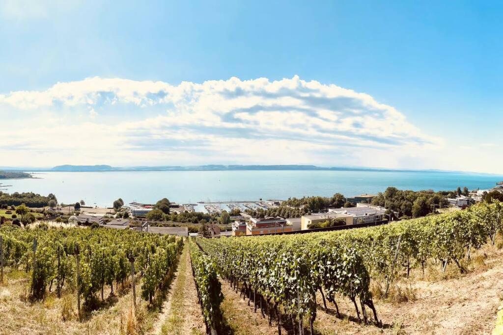 Charmant Appartement De Vacances Alta Ripa Hauterive  エクステリア 写真