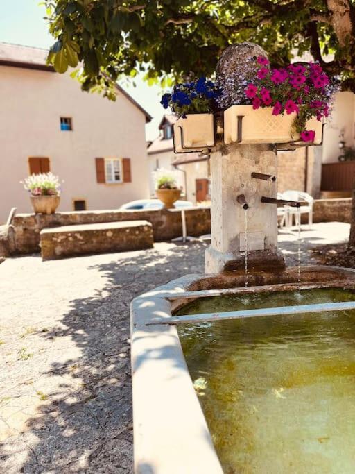 Charmant Appartement De Vacances Alta Ripa Hauterive  エクステリア 写真