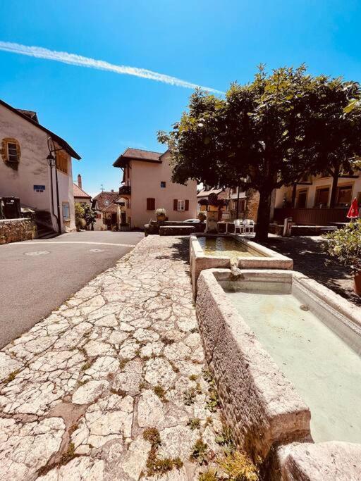 Charmant Appartement De Vacances Alta Ripa Hauterive  エクステリア 写真