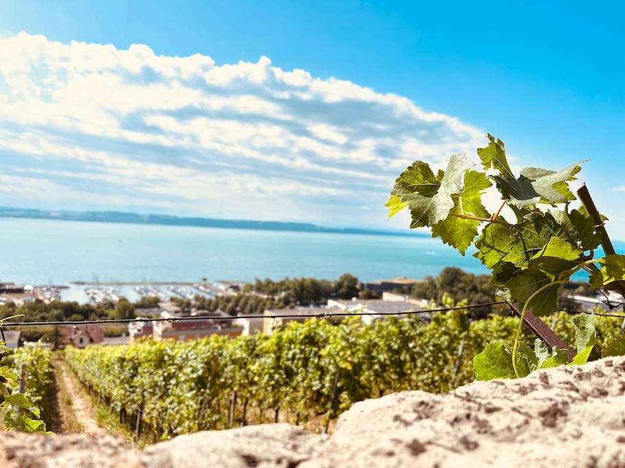 Charmant Appartement De Vacances Alta Ripa Hauterive  エクステリア 写真